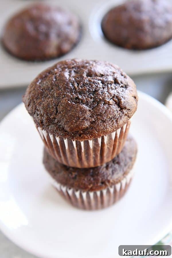 Wholesome Double Chocolate Zucchini Muffins 8 Two perfectly stacked double chocolate zucchini muffins, showcasing their rich texture and generous chocolate chip distribution.