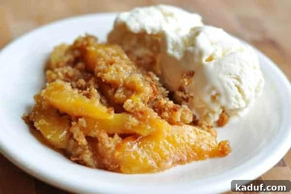 Delicious Peach Brown Betty 2 A slice of Peach Brown Betty served on a white plate with a scoop of vanilla ice cream, highlighting the golden-brown topping and juicy peach filling.