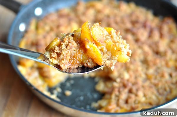 Delicious Peach Brown Betty 3 A dark skillet filled with bubbling Peach Brown Betty, a serving spoon lifting a portion, showcasing the juicy peach filling and crispy topping.