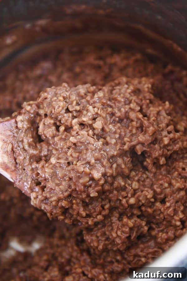 Chocolate Lover's Instant Pot Steel Cut Oats 5 Scooping double chocolate steel cut oats out of instant pot.