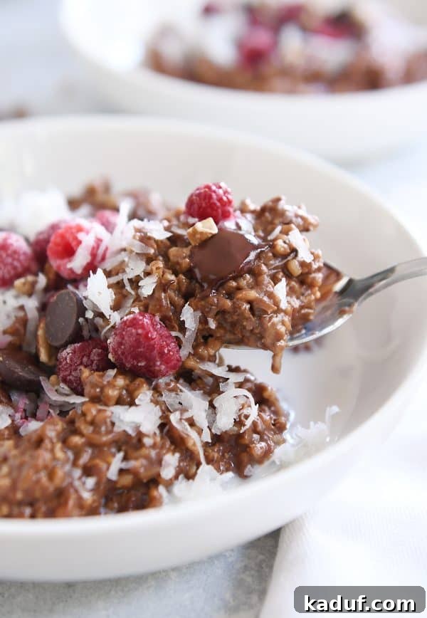 Chocolate Lover's Instant Pot Steel Cut Oats 6 Scooping spoonful of chocolate steel cut oats with coconut and raspberries in white bowl.
