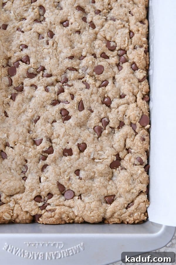 Ultimate Oatmeal Chocolate Chip Coconut Cookie Bars 8 Baked easy oatmeal chocolate chip coconut cookie bars in 9X13-inch pan.