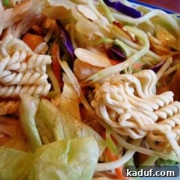 A small close-up shot of the Asian Chicken Salad, highlighting the crisp noodles, tender chicken, and fresh greens.