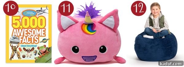 Mels Holiday Picks for Kids and Teens 6 The '5000 Awesome Facts About Everything' book, a cozy Moosh Moosh animal pillow, and a clever bean bag stuffed animal storage solution.