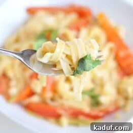 Creamy Red Coconut Noodle Curry 4 Red Coconut Curry Noodles