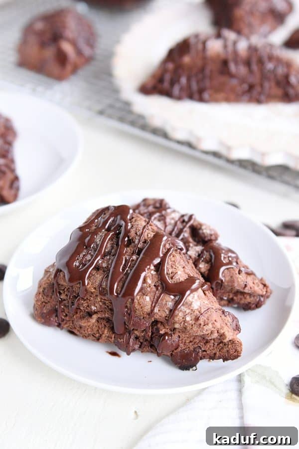 Divine Triple Chocolate Scones 4 Two pristine Triple Chocolate Scones, artfully placed on a white plate, highlight their irresistible texture and glaze.