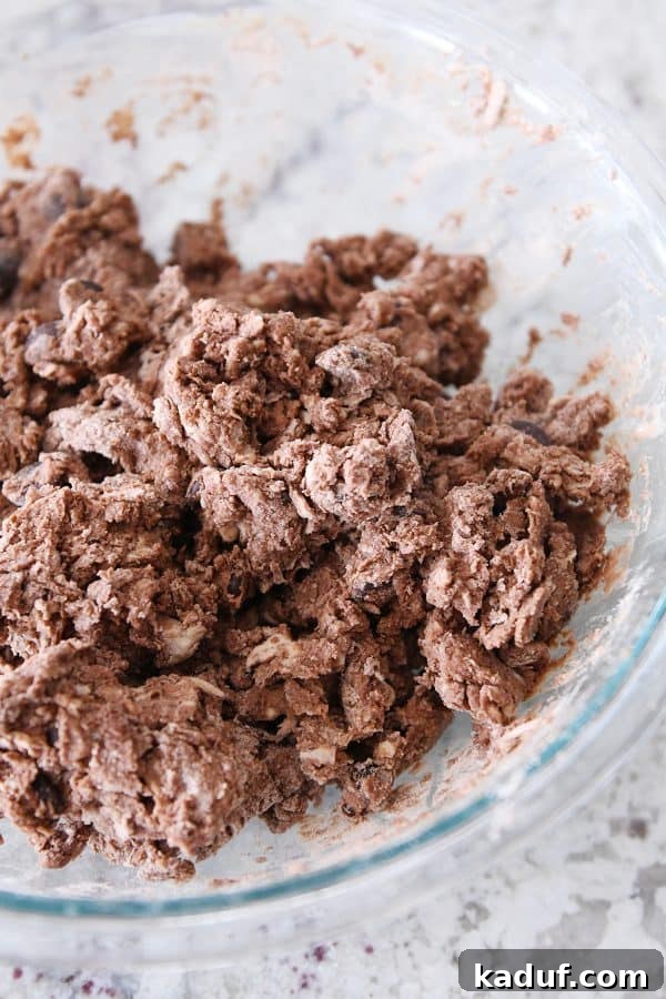 Divine Triple Chocolate Scones 6 Shaggy, mixed chocolate scone dough resting in a clear glass bowl, showcasing its readiness for shaping.