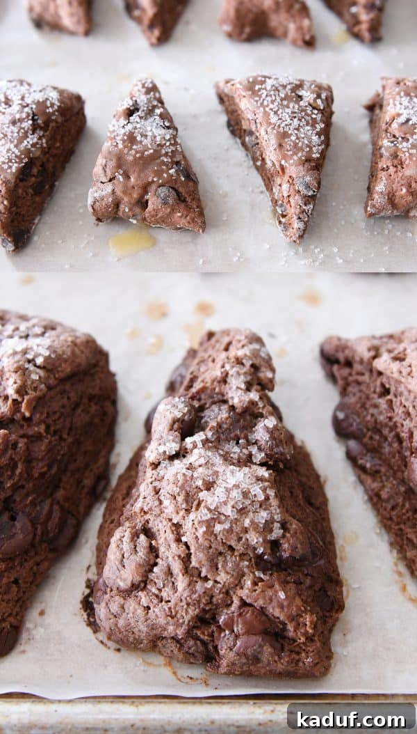 Divine Triple Chocolate Scones 8 Freshly baked chocolate scones cooling on a parchment-lined baking sheet, their tops golden and ready for glaze.