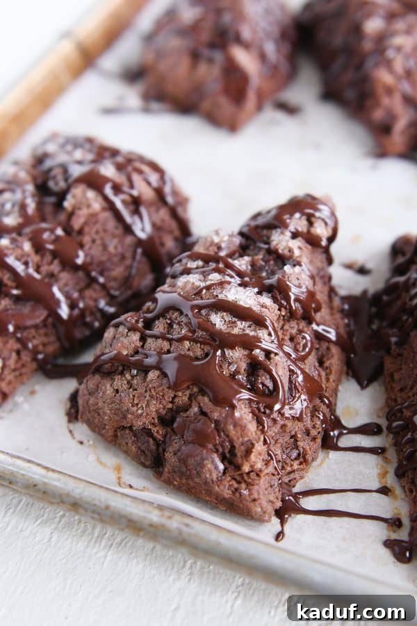 Divine Triple Chocolate Scones 10 A single glazed chocolate scone resting on a parchment-lined sheet pan, showcasing its rich color and inviting texture.