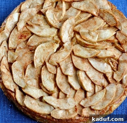 Homestyle Bavarian Apple Torte 3 Top view of a circular Bavarian apple torte, showcasing the artfully arranged cooked apple slices on top of the creamy filling.