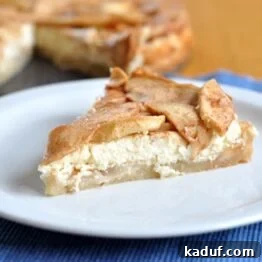 A close-up of a Bavarian Apple Torte slice, showcasing its layers.