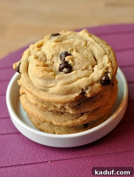 Ultimate Peanut Butter Chocolate Chip Cookies 2 Stacked soft peanut butter chocolate chip cookies in a white ramekin, highlighting their irresistible texture.