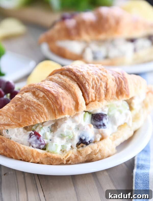 Chicken salad on croissant on white plate.
