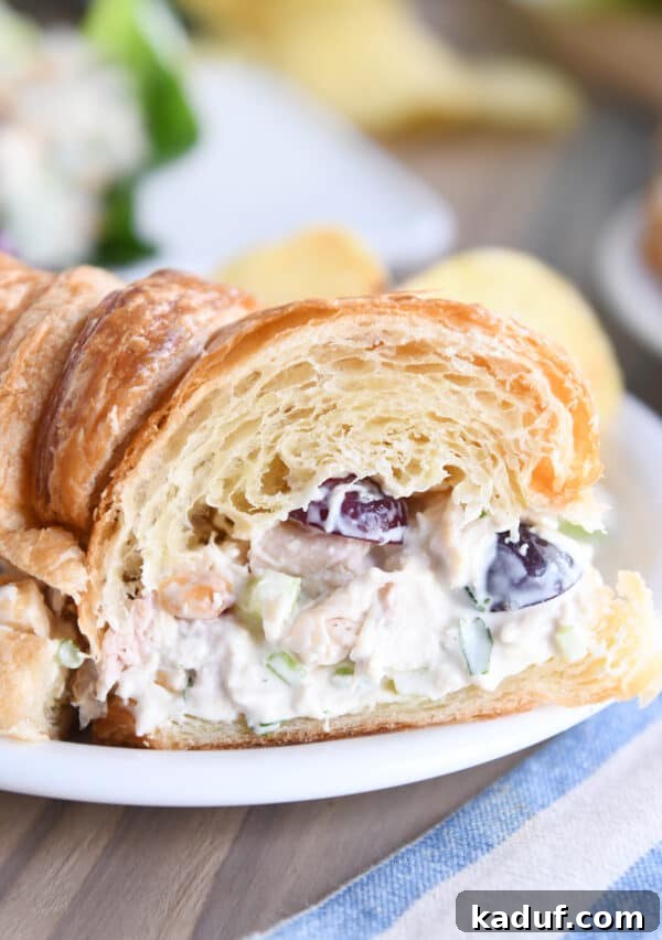 Chicken salad sandwich on croissant cut in half on white plate.