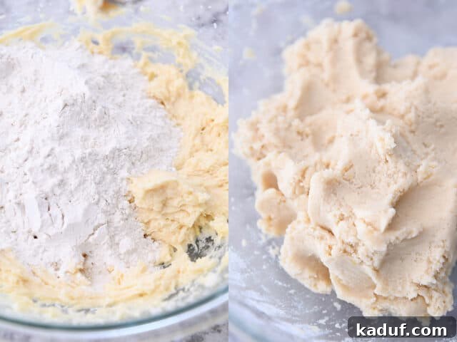 The Perfected Fruit Pizza 4 Dry ingredients added to sugar cookie dough and mixed until smooth.