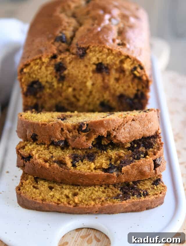Spiced Pumpkin Chocolate Chip Loaf 5 A beautifully baked pumpkin chocolate chip bread, golden-brown and perfectly domed, resting on a wire rack to cool, emanating a delicious aroma.