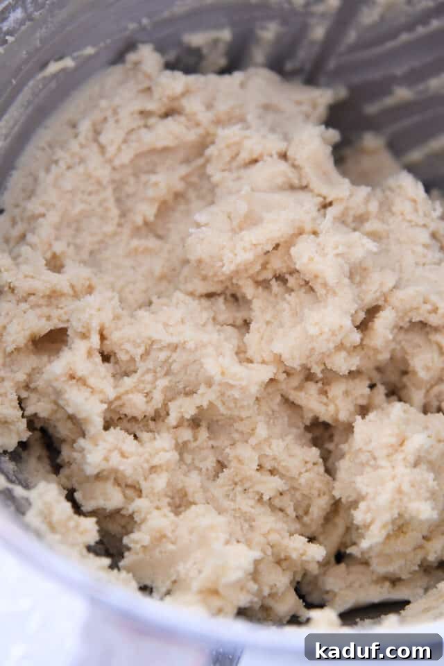 The Ultimate Cutout Sugar Cookie Recipe 6 Sugar cookie dough in stainless bowl.