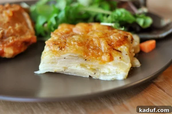 Golden Cheesy Potato Gratin 3 A generous serving of cheesy au gratin potatoes on a rustic brown plate, accompanied by a fresh side salad