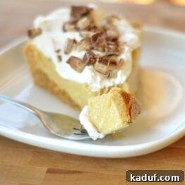 Pudding pie on a white plate with whipped cream and toffee bits.