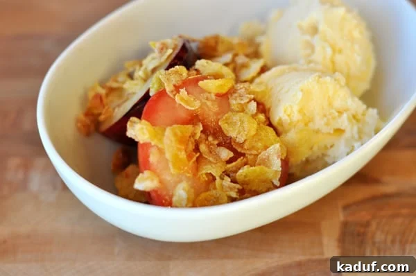 Warm Roasted Fruit Crumble 2 A white bowl of roasted fruit with a crunchy topping and vanilla ice cream.