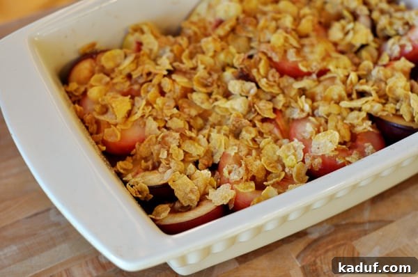 Warm Roasted Fruit Crumble 3 White casserole dish with roasted fruit and a crunchy topping.