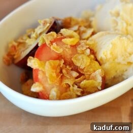 Warm Roasted Fruit Crumble 4 Roasted Fruit with Streusel Topping