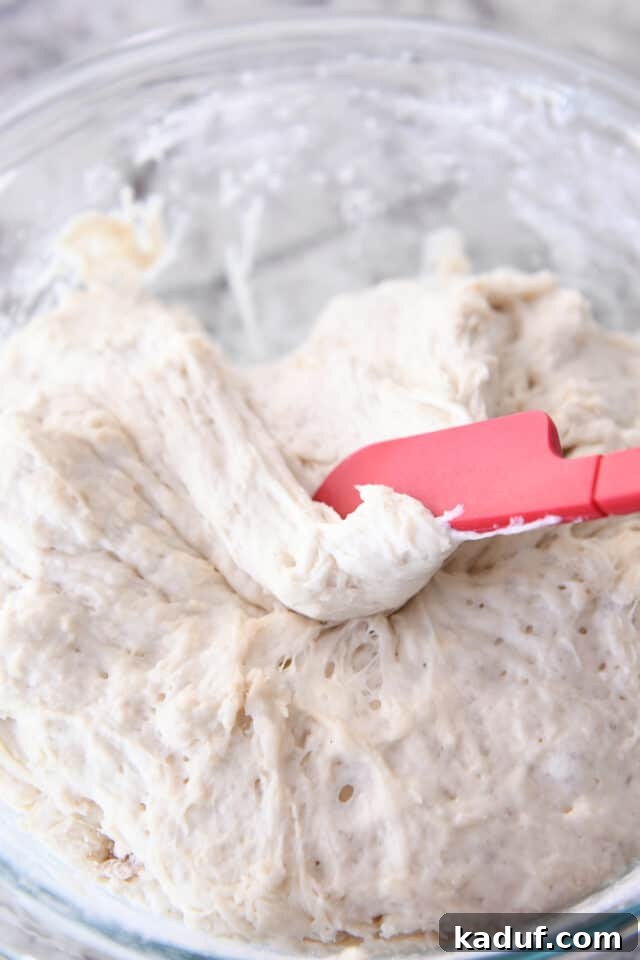 Pratik Yoğurmasız Köy Ekmeği 7 The risen peasant bread dough being carefully scraped away from the sides of a glass bowl with a rubber spatula, preparing it for shaping.