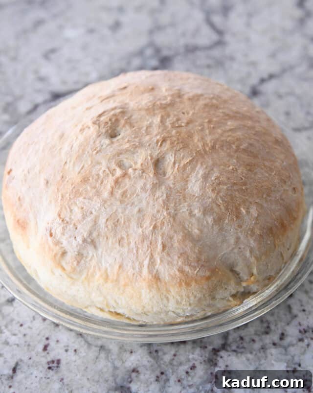 Pratik Yoğurmasız Köy Ekmeği 9 A perfectly baked, golden-brown loaf of peasant bread cooling within its glass pie plate, showcasing the ideal shape achieved.