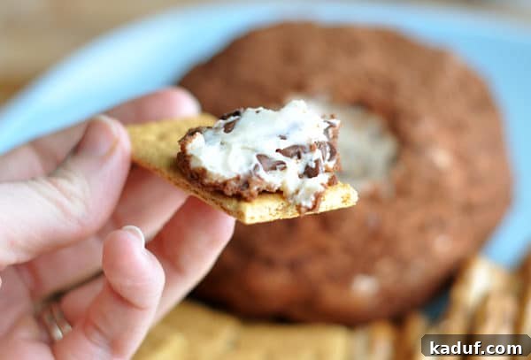 Chocolate Chip Cheesecake Bliss 4 A close-up shot of a cocoa-dusted chocolate chip cheeseball, showing a bite taken out with a graham cracker, revealing the creamy interior.