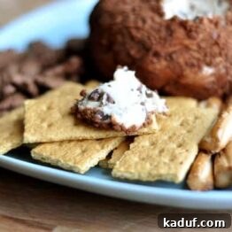 A sweet chocolate chip cheeseball, coated in crushed chocolate cookies and ready to be served with dippers.