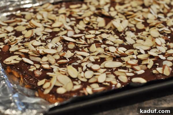 Golden Almond Toffee 21 Sliced almond covered almond roca on tinfoil lined cookie sheet, the final touch before cooling and breaking into pieces.