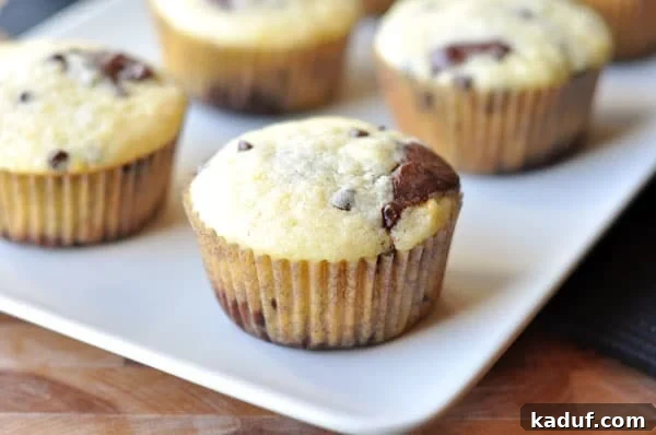Marbled Chocolate Orange Muffins 3 A selection of beautifully swirled chocolate orange muffins arranged on a pristine white platter, showcasing their vibrant colors and appealing texture.