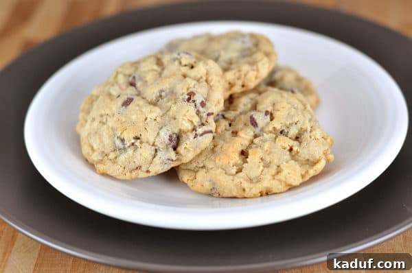 Mountain Hearth Cookies 2 White plate with three chocolate chip cookies.