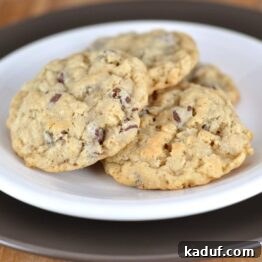 Rocky Mountain Cookies recipe card image