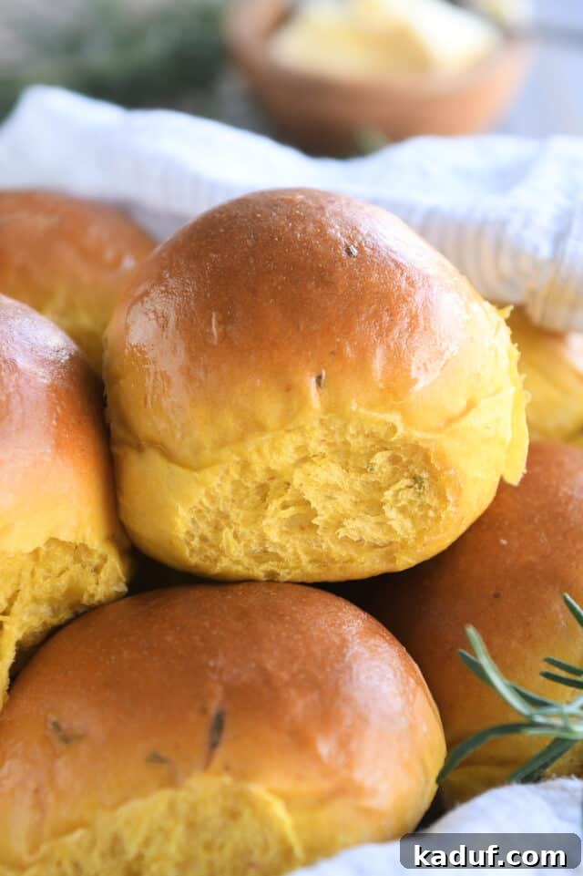 Aromatic Pumpkin Rosemary Rolls 2 A basket brimming with golden-brown pumpkin dinner rolls, adorned with fresh rosemary sprigs and a white linen towel, ready to be served.