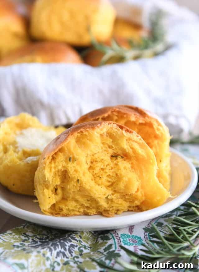 Aromatic Pumpkin Rosemary Rolls 3 A perfectly baked pumpkin dinner roll, sliced in half to reveal its fluffy interior, resting on a crisp white plate.