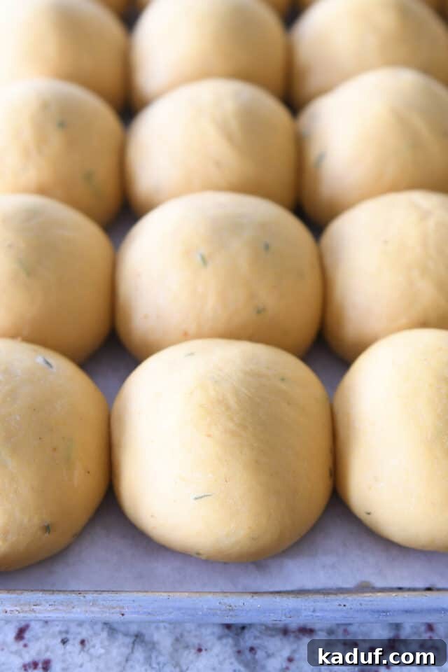 Aromatic Pumpkin Rosemary Rolls 5 Pumpkin dinner rolls gracefully rising on a parchment-lined baking sheet, showcasing their fluffy potential before baking.