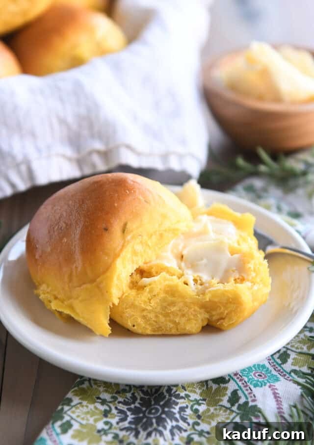 Aromatic Pumpkin Rosemary Rolls 7 A fluffy pumpkin dinner roll, expertly sliced in half, with a generous pat of butter melting into its inviting bottom half, ready to be enjoyed.