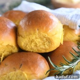 Aromatic Pumpkin Rosemary Rolls 8 basket of several pumpkin dinner rolls with spring of fresh rosemary