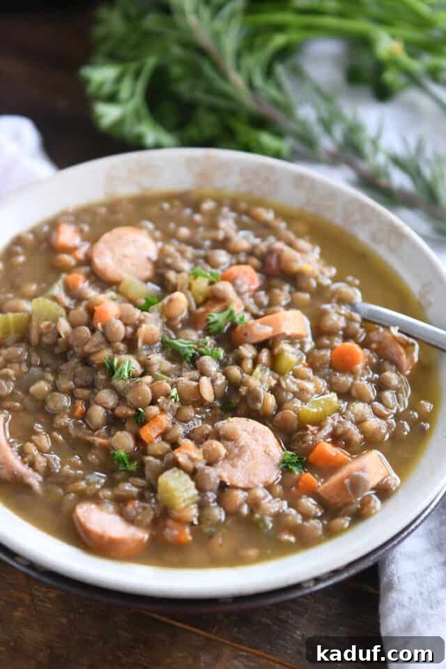 Rich Leftover Ham Bone Lentil Soup 5 Stone bowl of rich and savory leftover ham bone lentil soup, garnished with fresh herbs.