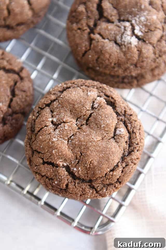 Pillowy Chocolate Ginger Molasses Chews 2 Chewy chocolate ginger molasses cookie on wire cooling rack.