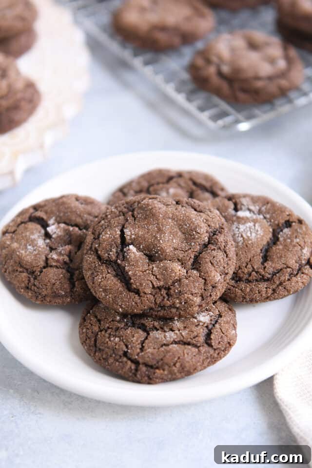 Pillowy Chocolate Ginger Molasses Chews 6 Five chewy chocolate ginger molasses cookies on white plate.