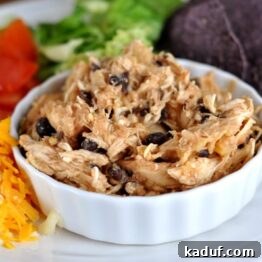 Easy Slow Cooker Pineapple Salsa Chicken 4 Delicious Pineapple Salsa Chicken cooked in a slow cooker.
