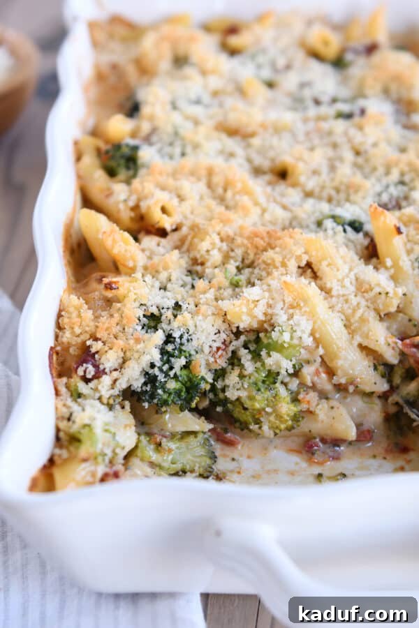 Smoky Mozzarella Chicken and Broccoli Penne Bake 2 A golden-brown baked penne casserole with chicken, broccoli, and a crispy bread crumb topping, fresh out of the oven.
