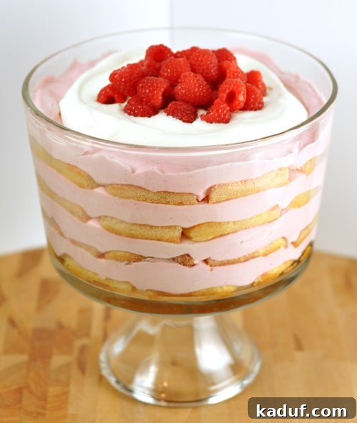 Berrymisu Dream 2 A stunning clear trifle dish showcases vibrant layers of golden ladyfingers and creamy pink raspberry filling, beautifully topped with fluffy whipped cream and fresh, juicy raspberries, ready to be served.