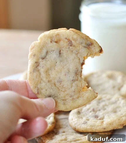 Buttery Toffee Crunch Cookies 2 A hand holding a toffee studded cookie with a bite taken out of it. The cookie is golden brown, thin, and visibly chewy, with pieces of Heath Bar toffee throughout.