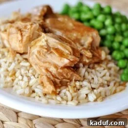 San Francisco Pork Chops on a plate with rice