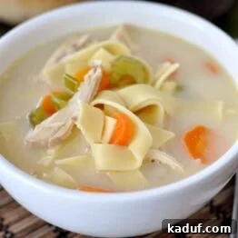 Classic Chicken Noodle Soup in a bowl