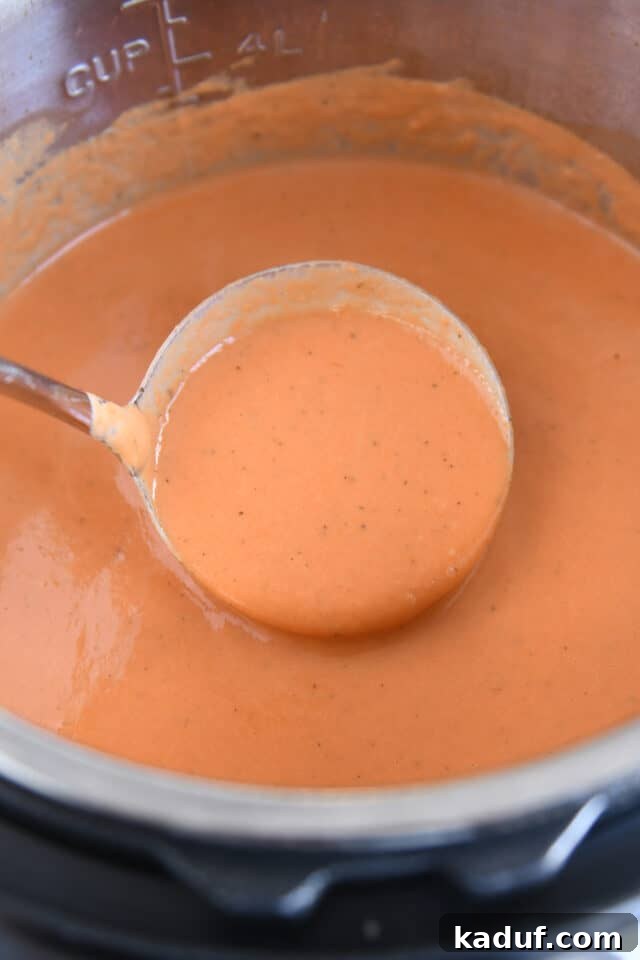 Velvety Instant Pot Tomato Basil Delight 5 A ladle gently lifting a scoop of the Instant Pot creamy tomato basil soup, showcasing its rich texture.