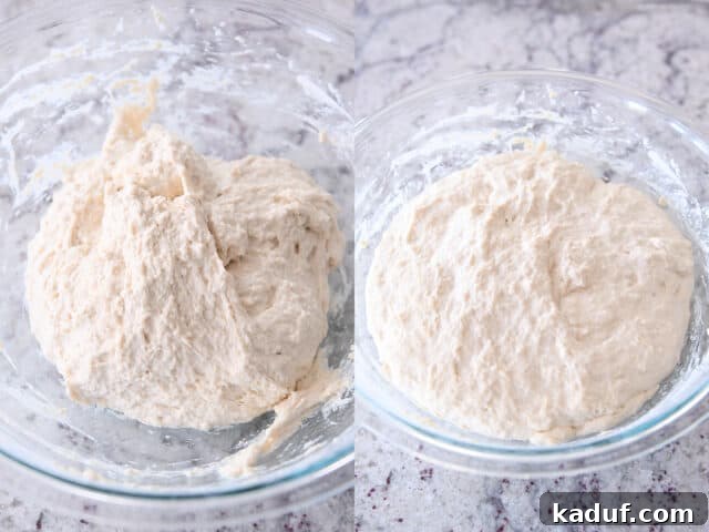 Effortless Rustic Sourdough Loaf 6 Side-by-side comparison of unrisen and perfectly risen sourdough peasant bread dough in glass bowls, illustrating the doubling in volume.